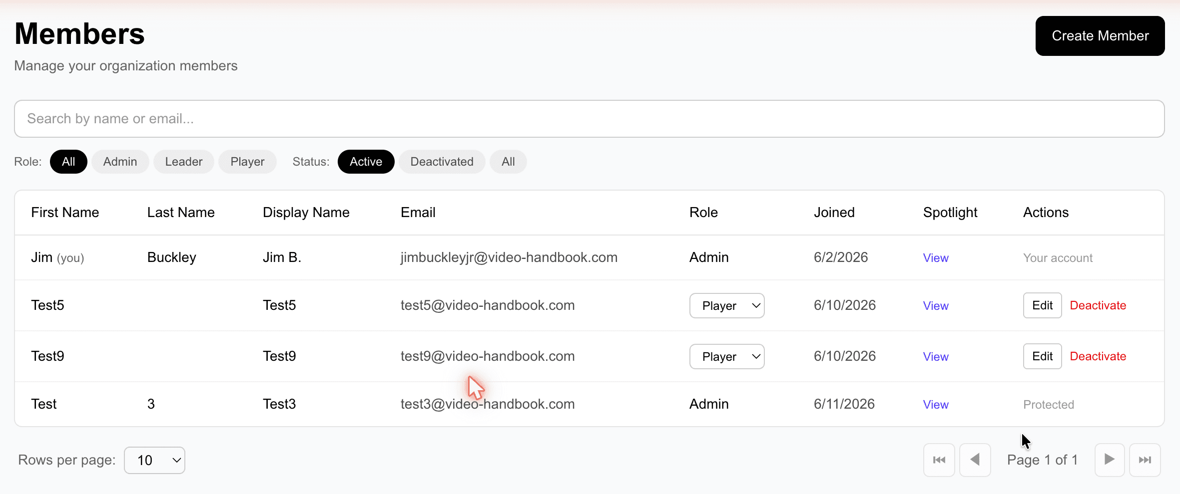 Member list showing team members with roles and status